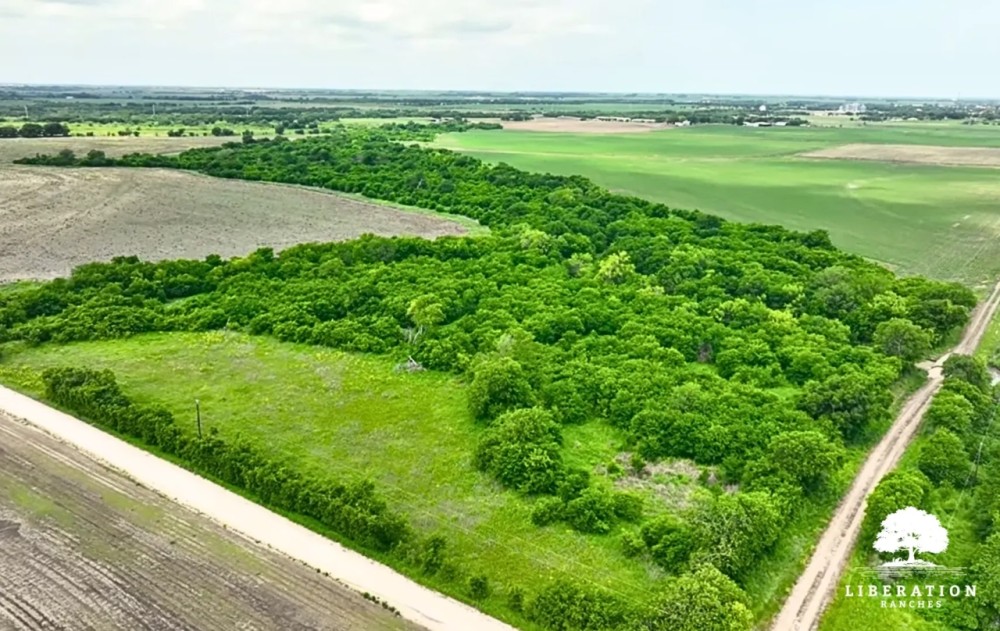 Itasca Tract 5 13 Acres Only 15K Down featured image