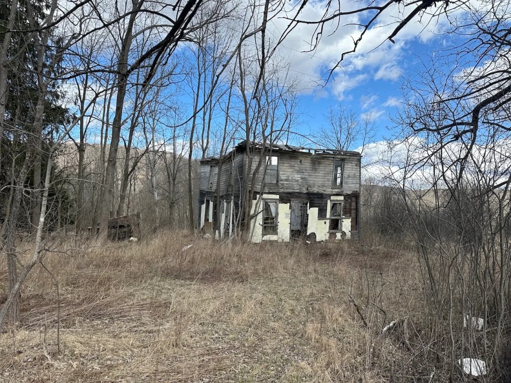 5 acre Building Lot and Recreational Land in Grove NY County Road 15b with Financing Available featured image