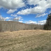 5 acre Building Lot and Recreational Land in Grove NY County Road 15b with Financing Available images 3