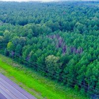 12.5 Acres US Highway 287 5A