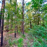 12.5 Acres US Highway 287 5A images 2