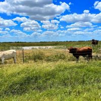 El Campo Tract 5 17 Acres Only 15K Down images 2