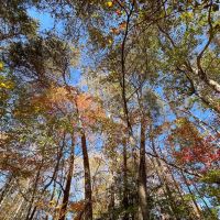 MARKET BASED PRICE IMPROVEMENT 3 acres of Residential and Recreational Land For Sale in Northumberland County VA images 5