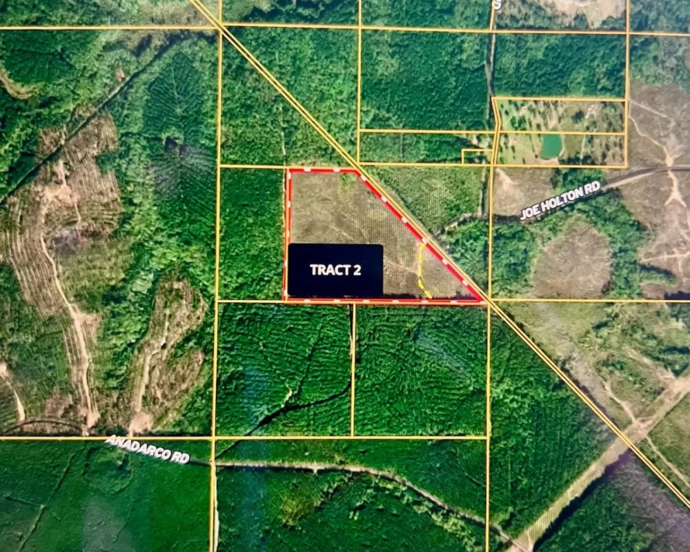 Jackson Parish Timber Tract 2 featured image