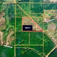 Jackson Parish Timber Tract 2