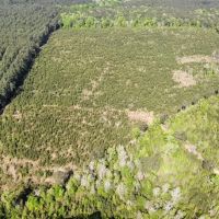 Jackson Parish Timber Tract 2 images 2