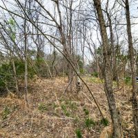 0.6 acres of Residential Building Land for Sale in Forsyth County NC images 3