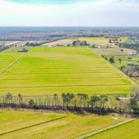 58.78 acres of Agricultural Land For Sale in the City of Chesapeake VA images 3