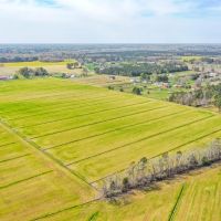 58.78 acres of Agricultural Land For Sale in the City of Chesapeake VA images 4