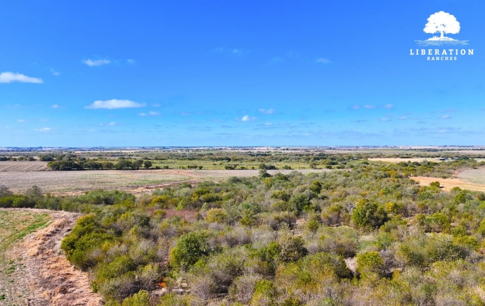 Itasca Tract 1 11 Acres Only 15K Down featured image