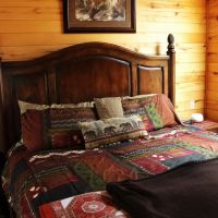 Grey Wolf Resort images 4