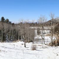 Grey Wolf Resort images 5