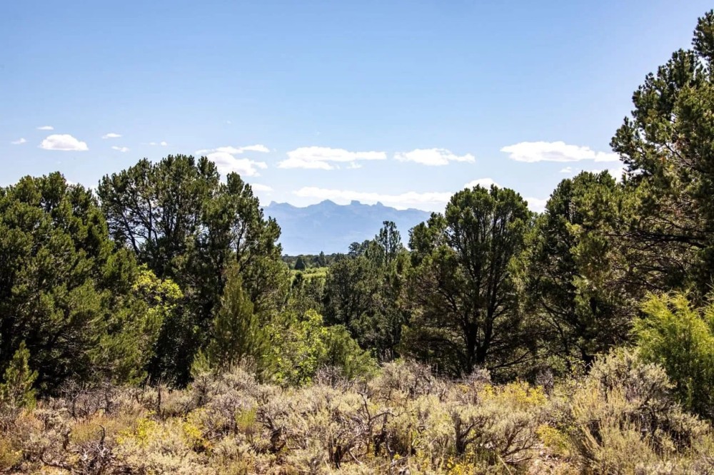 Aspen Lot 2 featured image