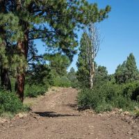 Aspen Lot 2 images 2