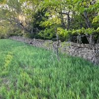 Block road 42 images 5
