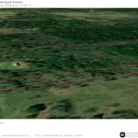 Wildlife 1.5 Acres