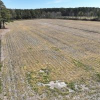 7.66 acres of Vacant Land in Hyde County NC images 3