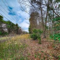 8.8 acres of Residential Building Recreational Land for Sale in Forsyth County NC images 3