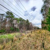8.8 acres of Residential Building Recreational Land for Sale in Forsyth County NC images 4