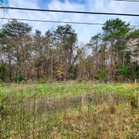 8.8 acres of Residential Building Recreational Land for Sale in Forsyth County NC images 5