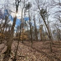 .80 acre Homesite Lot in Central Alamance County NC images 4