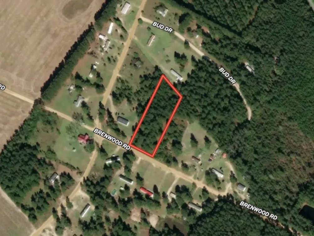 1.51 acres of Residential and Recreational Land For Sale in Dillon County SC featured image