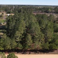 1.51 acres of Residential and Recreational Land For Sale in Dillon County SC images 2