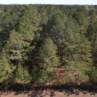 1.51 acres of Residential and Recreational Land For Sale in Dillon County SC images 3
