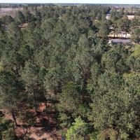 1.51 acres of Residential and Recreational Land For Sale in Dillon County SC images 4