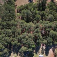 1.51 acres of Residential and Recreational Land For Sale in Dillon County SC images 5