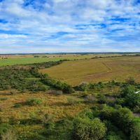 ALLEYTON Tract 7 13 Acres Only 15K Down DUP