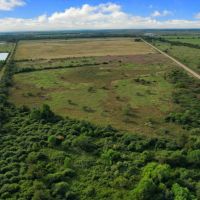 ALLEYTON Tract 7 13 Acres Only 15K Down DUP images 3