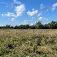 ALLEYTON Tract 7 13 Acres Only 15K Down DUP images 4