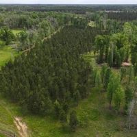 404 Acre High Fence Hunting Property w Home LaSalle Parish images 3