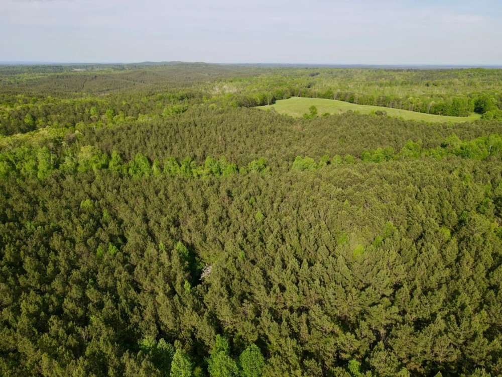 38 - Wooded Acres featured image