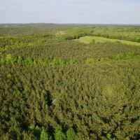 38 - Wooded Acres
