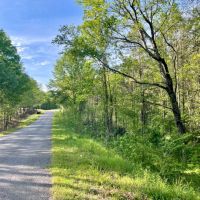 38 - Wooded Acres images 2