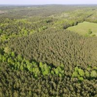 38 - Wooded Acres images 3