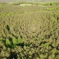 38 - Wooded Acres images 5