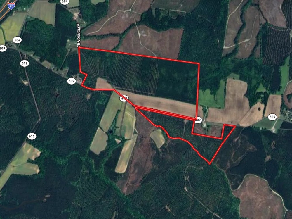 167 acres of Farm Land for Sale in Sussex County VA featured image