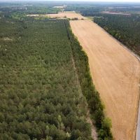 167 acres of Farm Land for Sale in Sussex County VA images 2