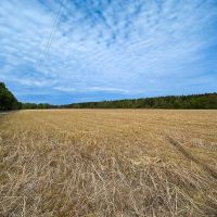 167 acres of Farm Land for Sale in Sussex County VA images 3