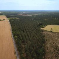 167 acres of Farm Land for Sale in Sussex County VA images 5
