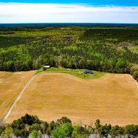 30.69 acres of Recreational Residential Investment Land For Sale in Caroline County VA images 2