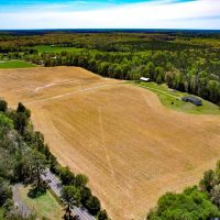 30.69 acres of Recreational Residential Investment Land For Sale in Caroline County VA images 3