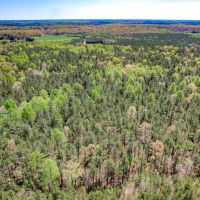 30.69 acres of Recreational Residential Investment Land For Sale in Caroline County VA images 5