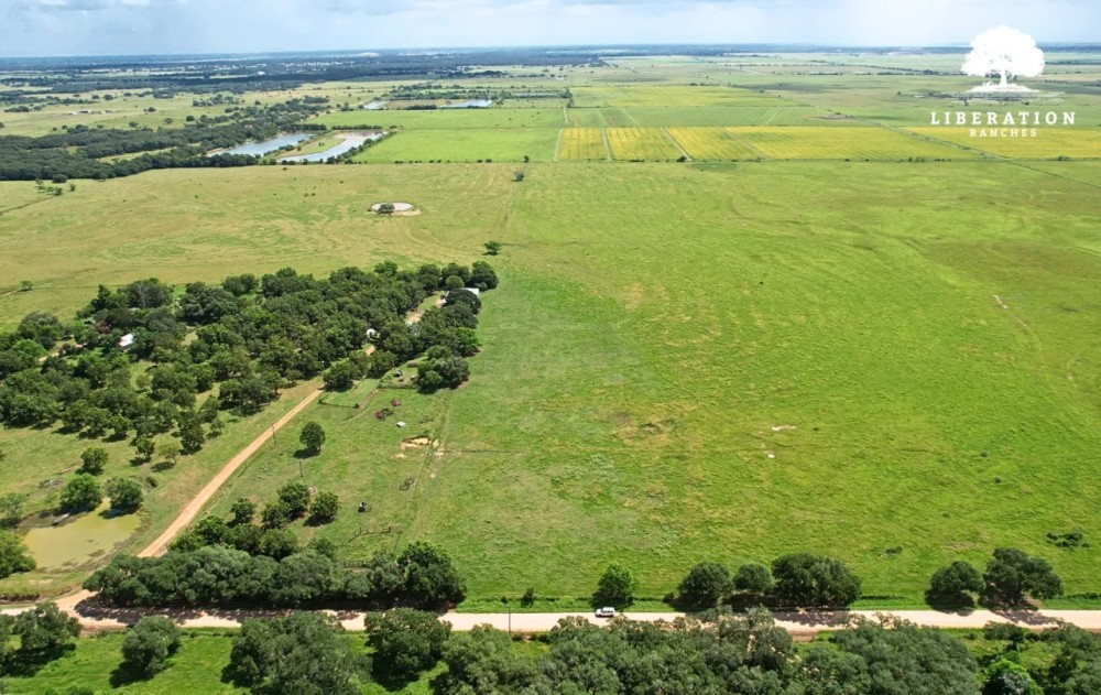 Rock Island Tract 6 14 Acres Only 15K Down featured image