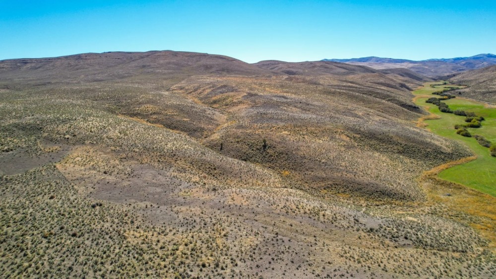Rose Creek East featured image