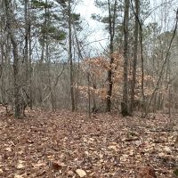 2.84 Wooded Private Acres images 5