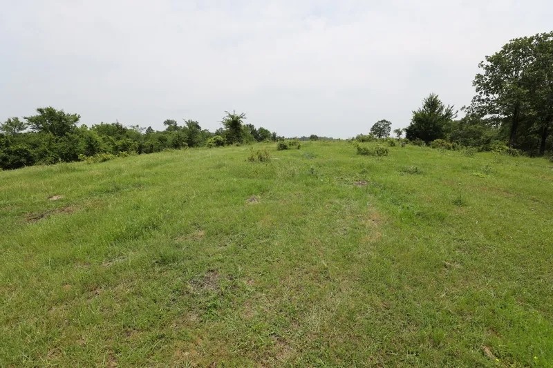Smithville Tract 5—3.29 Acres More Or Less featured image